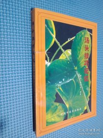 汤头技巧记忆