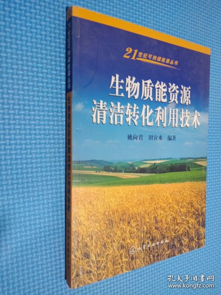 生物质能资源清洁转化利用技术/21世纪可持续能源丛书