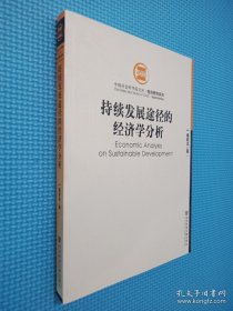 持续发展途径的经济学分析