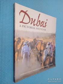 Dubai A PICTORIAL SOUVENIR 外文版