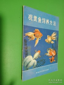 观赏鱼饲养方法