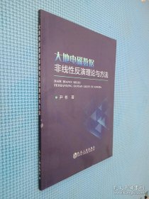 大地电磁数据非线性反演理论与方法