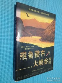 雅魯藏布大峽谷檔案