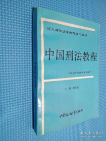 中国刑法教程