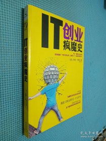 IT创业疯魔史