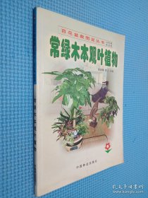 常绿木本观叶植物