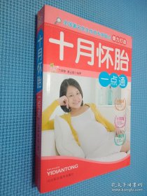 十月怀胎一点通