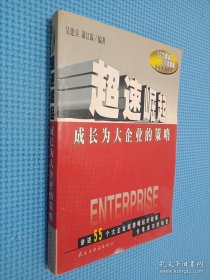 超速崛起:成长为大企业的策略