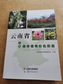 云南省主要森林植物彩色图鉴