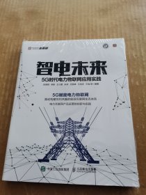 智电未来：5G时代电力物联网应用实践（未开封）