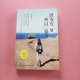 因为有梦 所以远方：激励都市奋斗小青年的暖心书 H8