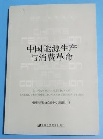 CCIEE智库丛书：中国能源生产与消费革命  E10