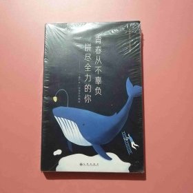 青春从不辜负拼尽全力的你 未拆封 9787510858109 C6