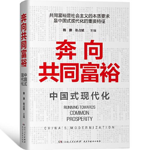 奔向共同富裕（读懂共同富裕，看清未来中国！深入浅出，雅俗共赏，两大TOP级智库联袂巨献，通俗理论重磅大作！）