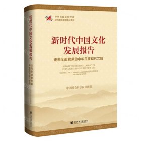 新时代中国文化发展报告