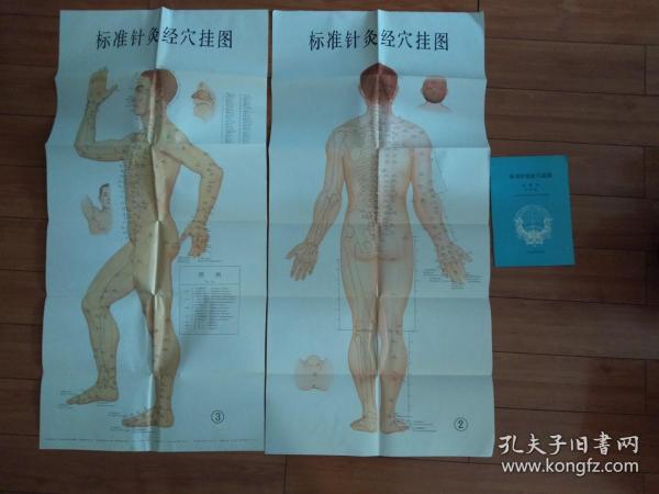 标准针灸经穴挂图（1）（2）带说明书
