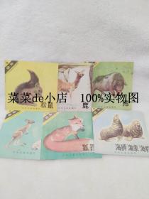 1-4岁婴幼儿知识读物动物     动物     3     猪   松鼠   鹿  袋鼠  刺猬   狐狸    海狮   海象   海豹     六册合售      少年儿童出版社    平装48开    9.9活动 包运费