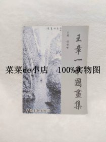 王章一中国画集 王章一 中国画集 侯晓峰 中国画报出版社 平装16开 独