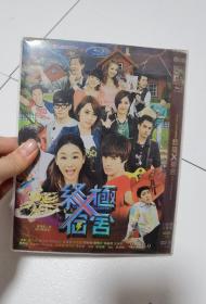 DVD 台剧【终极宿舍/终极X宿舍/终极一家2】2014年