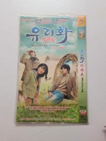 DVD 韩剧【玻璃花】2004年
