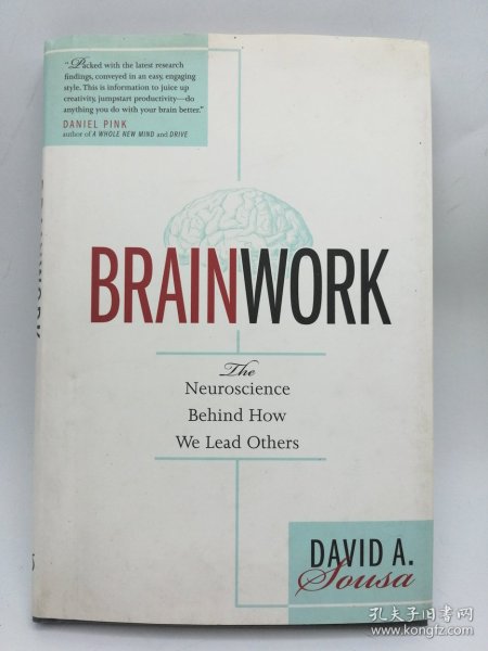 BRAINWORK: The Neuroscience Behind How We Lead Others 英文原版-《脑力劳动：我们如何领导他人背后的神经科学》