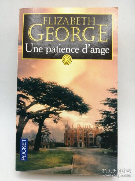 Inspector Lynley #10, Une Patience d'ange 法文原版-《林利探长 #10，天使的耐心》