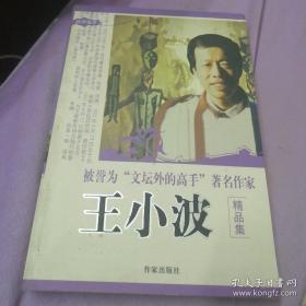 王小波精品集 举报