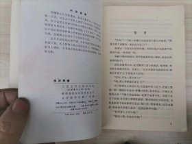 311-6绿荫晨曦  作者:  叶辛