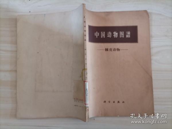 =55-7中国动物图谱 棘皮动物   64年1版1