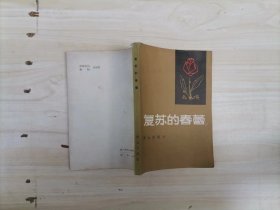 312-4复苏的春蕾