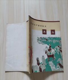 =30-5农村生产基本知识 养马