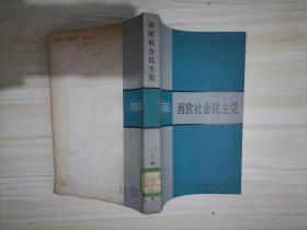 =315-3西欧社会民主党