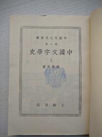 中国文化史丛书：中国文字学史（上册）