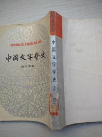 中国文化史丛书：中国文字学史（上册）