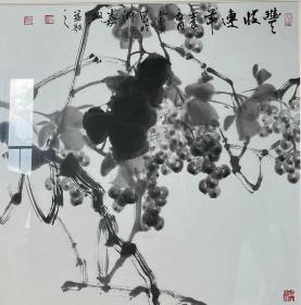 【精品名家国画】画家赵常勇，花鸟画水墨葡萄大写意国画