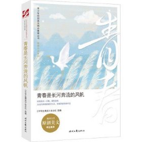 正版书002库 青春是长河奔流的风帆 9787538763089 时代文艺出版