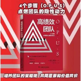 高绩效团队：4个步骤点燃团队的隐性动力（精装）