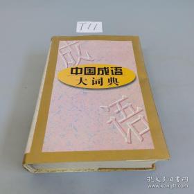 中国成语大词典