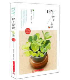 DIY种子盆栽