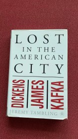 Lost in the American city (tamblign)精装