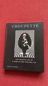 Choupette: the private life of a high-flying fashion cat (thames)精装