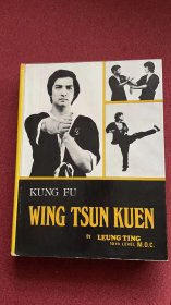 Wing tsun kuen 咏春拳 梁挺博士