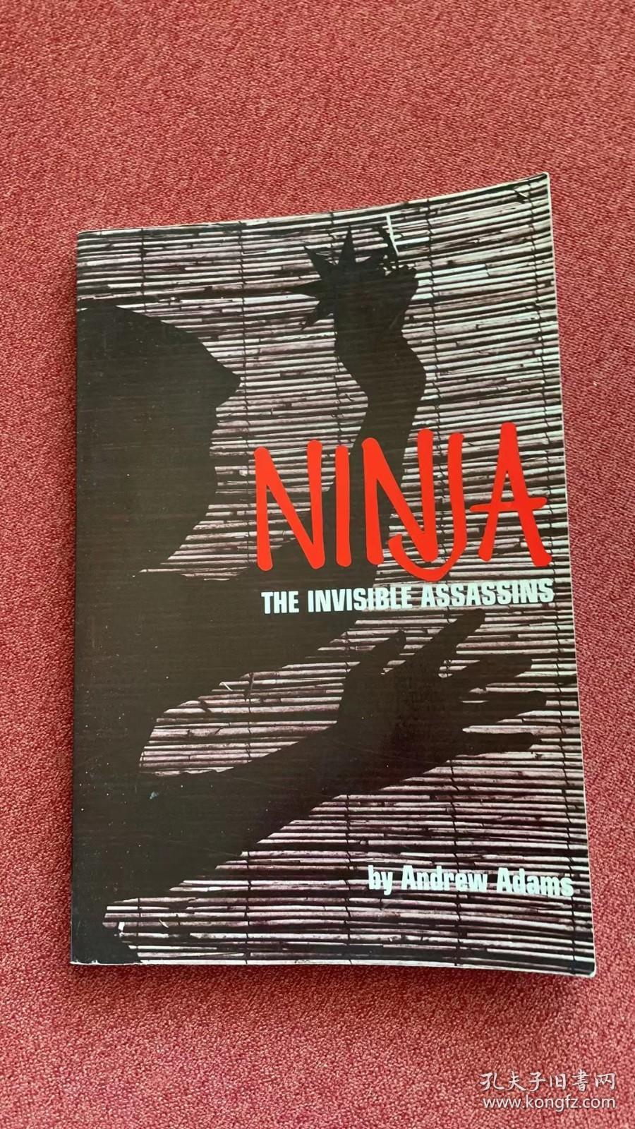 Ninja: the invisible assassins (Andrew)