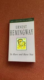 To have and have not (Hemingway)