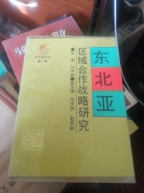 东北亚区域合作战略研究