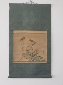 日本回流字画  ：茶挂、绢本绫表百年老画（菊花麻雀图）、青峰款，绘画精细，年代老画，有岁月痕迹