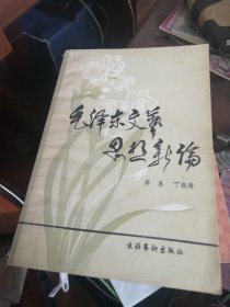 毛泽东文艺思想新论