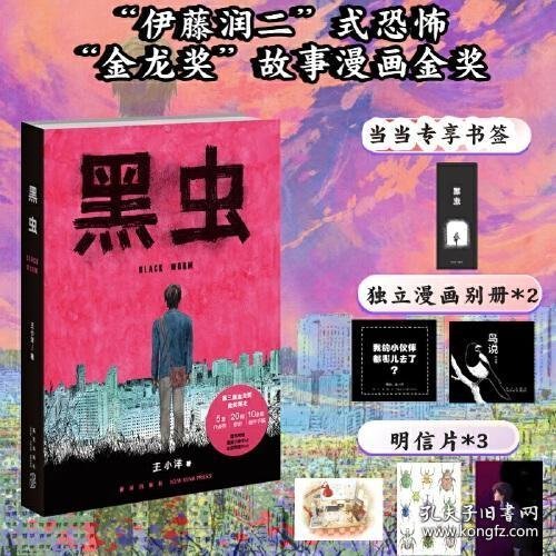 黑虫：王小洋短篇杰作集