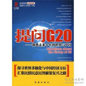 提问G20：洞悉未来十年的世界与中国