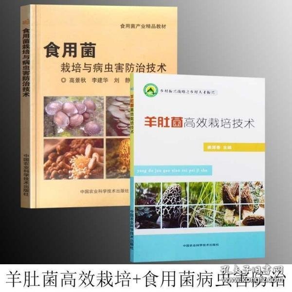 羊肚菌高效栽培技术